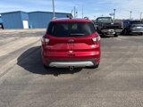 Used 2018 Ford Escape Titanium image 4