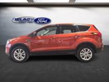 Used 2019 Ford Escape SE image 2