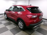 Used 2020 Ford Escape SE image 2