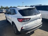 Used 2020 Ford Escape SEL image 4