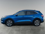 Used 2020 Ford Escape SEL image 4