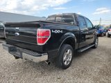 Used 2013 Ford F150 Lariat w/ Luxury Equipment Group image 4
