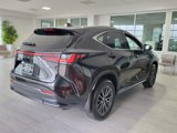 Used 2025 Lexus NX 250 FWD image 6