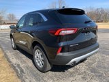Used 2024 Ford Escape Active image 2