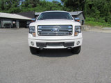 Used 2010 Ford F150 Platinum image 2