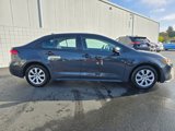 Used 2024 Toyota Corolla LE image 2