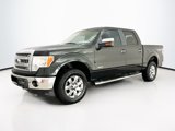 Used 2013 Ford F150 XLT w/ Luxury Equipment Group image 3