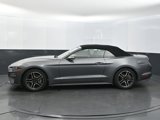 Used 2022 Ford Mustang Premium image 2