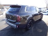 Used 2023 Kia Telluride SX Prestige image 5