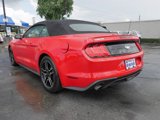 Used 2019 Ford Mustang Premium image 5