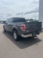 Used 2013 Ford F150 XLT w/ XLT Chrome Pkg image 5
