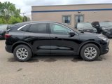 Certified 2023 Ford Escape Active image 4