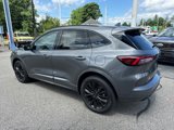 Used 2023 Ford Escape ST-Line Elite image 5