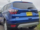 Used 2017 Ford Escape SE w/ SE Cold Weather Package image 3