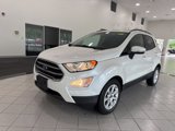 Used 2019 Ford EcoSport SE image 3