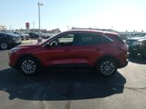 Used 2022 Ford Escape SE w/ Convenience Package image 4