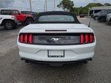 Used 2022 Ford Mustang Premium w/ Equipment Group 201A image 5