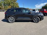 New 2025 Ford Escape ST-Line w/ Cold Weather Package image 4