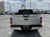 Used 2019 Ford F150 XLT w/ Equipment Group 302A Luxury image 6