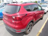 Used 2019 Ford Escape SEL image 4