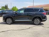 Used 2023 Hyundai Santa Fe Limited image 2