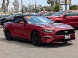 Used 2019 Ford Mustang Convertible w/ Ecoboost Performance Package image 3