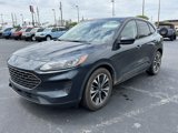 Used 2022 Ford Escape SE w/ SE Sport Appearance Package image 3
