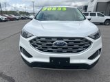 Used 2022 Ford Edge SEL image 2