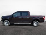 Used 2019 Ford F150 XLT w/ Equipment Group 301A Mid image 3