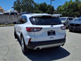 Used 2021 Ford Escape SE w/ Cold Weather Package image 4