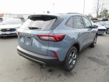 New 2025 Ford Escape ST-Line w/ Cold Weather Package image 4