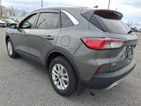 Used 2021 Ford Escape SE w/ Convenience Package image 4