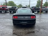 Used 2016 Ford Mustang Premium w/ Equipment Group 201A image 4