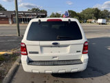 Used 2010 Ford Escape XLT image 5