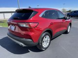 Used 2022 Ford Escape SE w/ Cold Weather Package image 4
