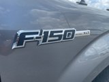 Used 2010 Ford F150 XLT image 4