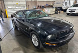 Used 2009 Ford Mustang Coupe image 5