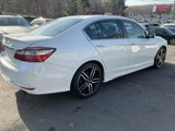 Used 2017 Honda Accord Sport Special Edition image 6