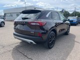 Certified 2023 Ford Escape Active w/ Tech Pack #2 image 4