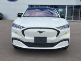 Used 2021 Ford Mustang Mach-E California Route 1 image 4