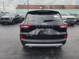 New 2025 Ford Escape Active image 4