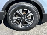 Certified 2022 Honda CR-V Special Edition image 6