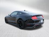 Used 2021 Ford Mustang Coupe w/ Equipment Group 101A image 5