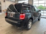 Used 2010 Ford Escape XLT image 4
