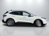 Used 2020 Ford Escape Titanium image 4