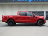 Used 2023 Ford F150 XLT w/ Equipment Group 302A High image 2