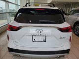 New 2025 INFINITI QX50 Luxe w/ Cargo Package image 6