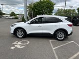 Used 2021 Ford Escape SE w/ Cold Weather Package image 4