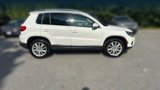 Used 2014 Volkswagen Tiguan SEL image 4