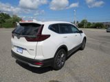Used 2020 Honda CR-V EX-L image 5